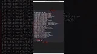 How to install Osmedeus in Kali Linux#shorts