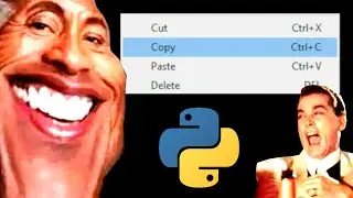 Python Code Copiers Be Like...