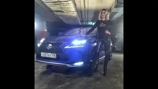 New LEXUS NX HD: Тест-драйв в программе 