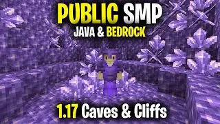 Public Minecraft SMP Server for Java & Bedrock *LIVE* 1.17.1 (Free to Join)