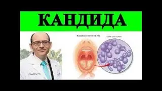 Синдром Кандидозной Гиперчувствительности    Доктор Майкл Грегер