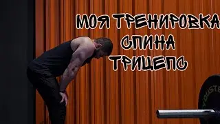 Тренировка спины и трицепсов: Моя тренировка 🔥