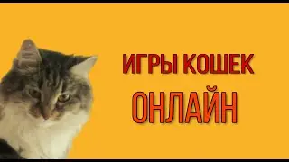 Игры кошек ОНЛАЙН #Лучшедома #Stayhome