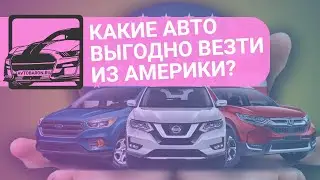 Какие авто выгодно везти из США в РФ?
