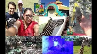 MexTam Daily Life 5: Bioparque Estrella with friends + Dinosaur's land