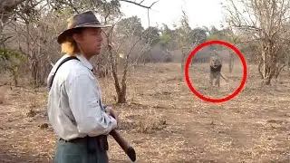 6 Lion Encounters That Will Give You Chills (Part 4)