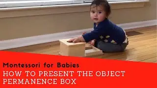 How to Present the Montessori Object Permanence Box | Montessori for Babies