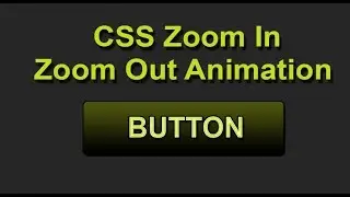 CSS Zoom In and Zoom Out Animation button