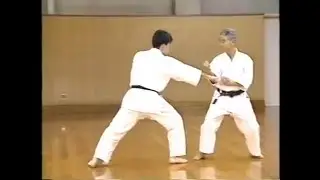 Вадо-рю каратэ.Wado ryu Karate.Kihon kumite #9