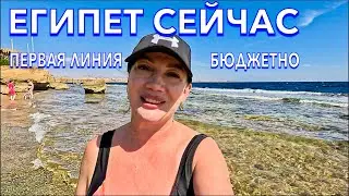 Египет 2024. ПОЧЕМУ СЮДА ЕДУТ⁉️Amphoras Blu 4*. РИФ ПОГОДА ПИТАНИЕ в БЮДЖЕТНОМ отеле. Шарм Эль Шейх