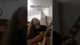 Still got the blues соло🎸 Песня на все времена🤟 