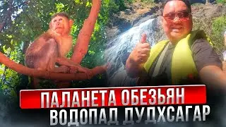 Обязательно к посещению на Гоа. Но нужно быть осторожным.