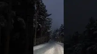 Щучинск / дорога на работу ☃️❄️❄️❄️🎷