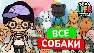 СОБИРАЮ ВСЕХ СОБАК В ТОКА БОКА! Toca Life world