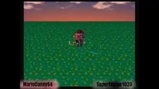 Animal Crossing: City Folk - Happy B-Day Danny
