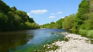 Nature Sounds - River Water Sound Effect (White Noise Sounds)