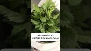 ВЕСЕННИЙ СУП ИЗ КРАПИВЫ.ВКУСНО И БЫСТРО!