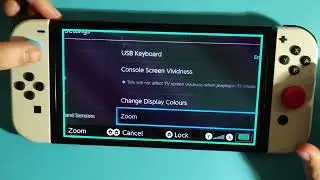 How to Zoom on Nintendo Switch