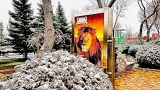 ОЧЕНЬ БОЛЬНО, мы простились с Томиком, в душе опустошение, но нужно ИДТИ ДАЛЬШЕ!