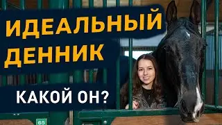 Денник для лошади / Как создать идеальные условия / Комфорт и безопасность