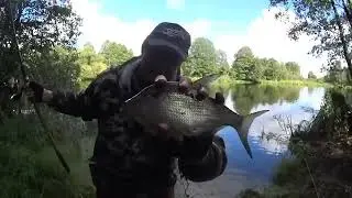 Секретная насадка для карася ВЗОРВАЛА клёв в холодной воде!