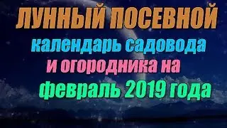 Лунный посевной календарь садовода и огородника на февраль 2019 года