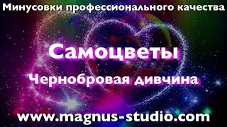 Самоцветы  - Чернобровая дивчина, минусовка, фрагмент, DEMO