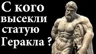 Статуя Геракла = кто являлся прототипом для скульптора Лисиппа?