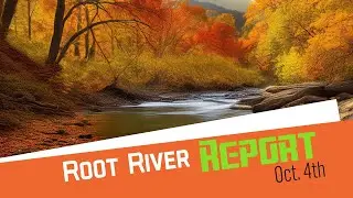 Root River Report for October 4th 2024