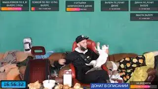Бубон - Кись Кись Кись