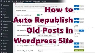How to Auto Republish Your Old Posts in Wordpress Site