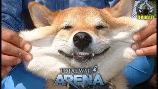 Total War: Arena 🔔 Тестирую Собак в обновлении 3.1.14