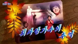 Jon Hye Yong [전혜영] from Pochonbo Electronic Ensemble
