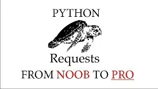 Learning Python Requests In ONE VIDEO