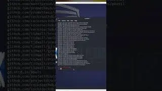 How to install dnsx in kali Linux 