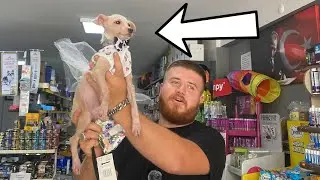 Öl*ümden Kurtardığım Köpeğimi ALIŞVERİŞE GÖTÜRDÜM!