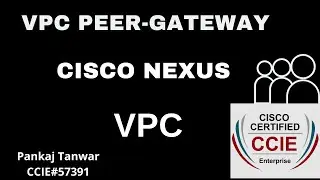 VPC Lecture 8 ( VPC PEER-GATEWAY ) CCIE 57391