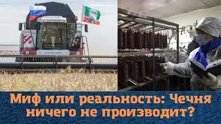 Миф или реальность: что на самом деле производит Чечня?