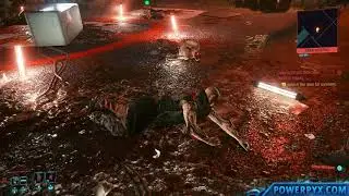 Cyberpunk 2077 Cyberpsycho Sighting: Bloody Ritual Walkthrough