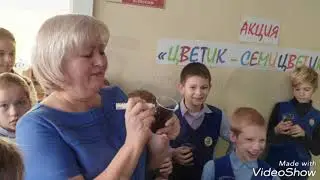 Акция "Цветик-  семицветик"  Тольятти, МБУ Школа 71