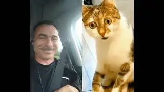 борьба мышек 💪😂