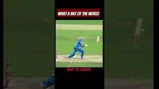 #cricket #viralvideo #shortvideo_ #cricketlover #ipl #cricketworldcup #t20worldcup 😯😯