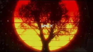 Spicy (Lyric Video) - Ty Dolla $ign ft. Post Malone