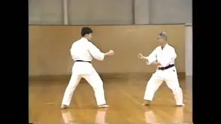 Вадо-рю каратэ.Wado ryu Karate.Kihon kumite #8