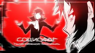 Anime — Manga CLIP. // Социофаг [ Твое нежное безумие. ]. Bungou stray dogs.