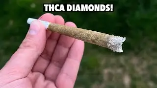 THCA DIAMOND PREROLLS! From Delta Munchies
