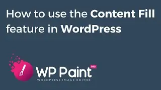 How to use the Content Fill feature in WordPress using the WP Paint Pro