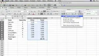 How to Put a Price in Excel : MS Excel Tips