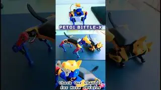 Petoi Bittle-X The Dog Robot 