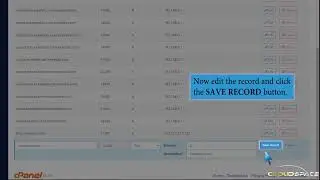 How to edit or delete MX Record in cPanel using the DNS Zone Editor with CloudSpace